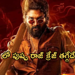 Pushpa2 : ‘పుష్ప 2 ‘ ను నార్త్ ఆడియన్స్ ఇష్టపడటానికి కారణాలు ఇవేనా..?