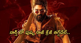 Pushpa2 : 'పుష్ప 2 ' ను నార్త్ ఆడియన్స్ ఇష్టపడటానికి కారణాలు ఇవేనా..?
