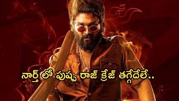 Pushpa2 : ‘పుష్ప 2 ‘ ను నార్త్ ఆడియన్స్ ఇష్టపడటానికి కారణాలు ఇవేనా..?
