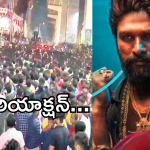 Pushpa 2 Movie Public Reation : పుష్ప 2 మూవీ పబ్లిక్ రియాక్షన్..