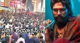 Pushpa 2 Movie Public Reation : పుష్ప 2 మూవీ పబ్లిక్ రియాక్షన్..