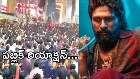 Pushpa 2 Movie Public Reation : పుష్ప 2 మూవీ పబ్లిక్ రియాక్షన్..