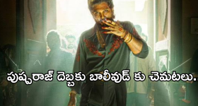Pushpa 2 collections : పుష్పగాడి రికార్డులతో బాలీవుడ్ కు చెమటలు.. బాద్షా రికార్డు బ్రేక్..