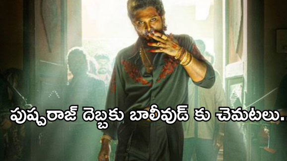 Pushpa 2 collections : పుష్పగాడి రికార్డులతో బాలీవుడ్ కు చెమటలు.. బాద్షా రికార్డు బ్రేక్..