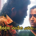 Pushpa2 : ‘పుష్ప 2 ‘ లో శ్రీవల్లిని చంపేది ఎవరో తెలుసా..?