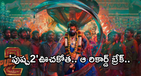 Pushpa2 Collections : బాహుబలి 2 ను టచ్ చేసిన పుష్ప 2.. సెలెబ్రేట్ చేసుకోలేకపోతున్న హీరో..?