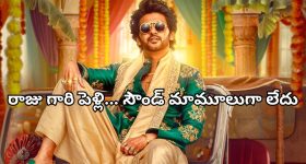 CM Revanth Reddy: సీఎం సార్.. మీరే కరెక్ట్.. అస్సలు తగ్గొద్దు!