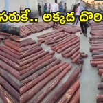 Anti-Smuggling Task Force : ఇది రీల్ పుష్పా కాదు.. రియల్ పుష్పరాజ్ కథ. పనిపట్టిన పోలీసులకు నారా లోకేష్ అభినందనలు