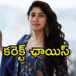 Balagam Venu New Movie: ‘ఎల్లమ్మ’కు హీరోయిన్ దొరికేసింది.. పక్కా హైబ్రిడ్ పిల్లనే పట్టారు