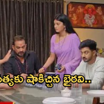 Satyabhama Today Episode : సత్యను ఒప్పించిన విశ్వనాథం.. క్రిష్ ను రెచ్చగొట్టిన భైరవి..