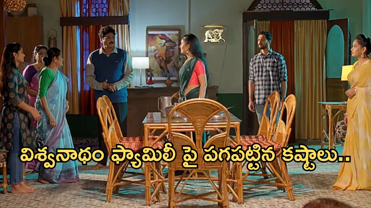 Satyabhama Today Episode : సత్య ఫ్యామిలీపై పగ పట్టిన కష్టాలు.. మహాదేవయ్య ప్లాన్ వర్కౌట్..