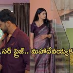 Satyabhama Today Episode : క్రిష్ ను మోసం చేసిన సత్య.. సంజయ్ ట్రాప్ లో సంధ్య..