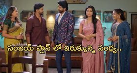 Satyabhama Today Episode : క్రిష్ కు నిజం చెప్పలేకున్న సత్య.. సంజయ్ వలలో చిక్కిన సంధ్య..
