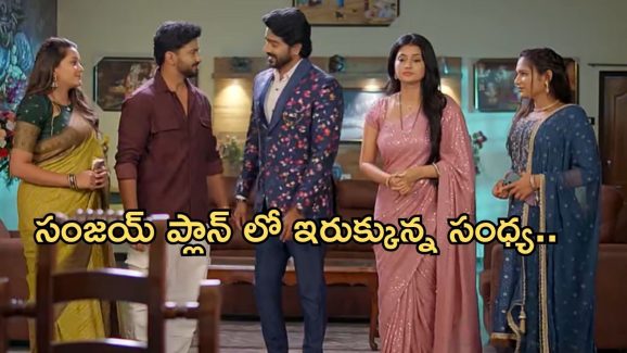 Satyabhama Today Episode : క్రిష్ కు నిజం చెప్పలేకున్న సత్య.. సంజయ్ వలలో చిక్కిన సంధ్య..