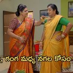Satyabhama Today Episode : భైరవికి షాకిచ్చిన గంగ.. రిపోర్ట్ కోసం మహాదేవయ్య ఇబ్బందులు..