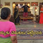 Satyabhama Today Episode : గంగ గుట్టు విప్పిన క్రిష్.. మహాదేవయ్య సేఫ్ అయ్యినట్లేనా..?