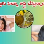 Henna For White Hair: తెల్లజుట్టు ఉన్న వారు ఇలా హెన్నా వాడితే.. క్షణాల్లోనే రిజల్ట్