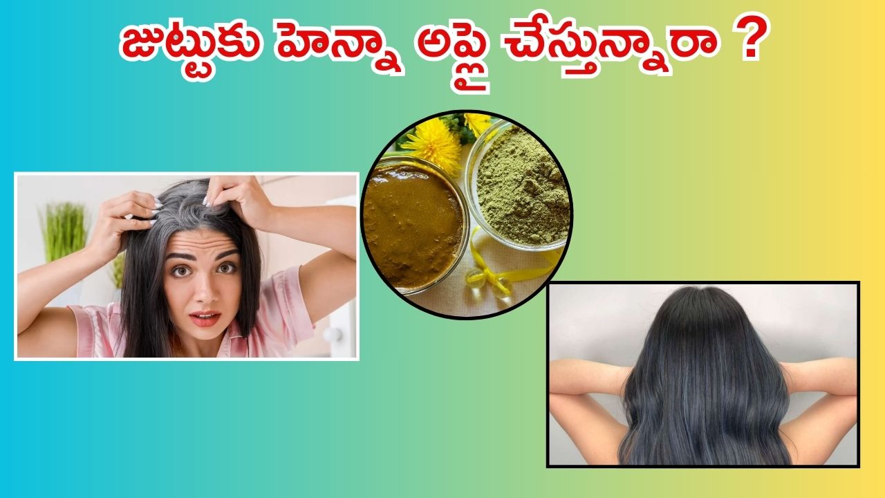Henna For White Hair: తెల్లజుట్టు ఉన్న వారు ఇలా హెన్నా వాడితే.. క్షణాల్లోనే రిజల్ట్