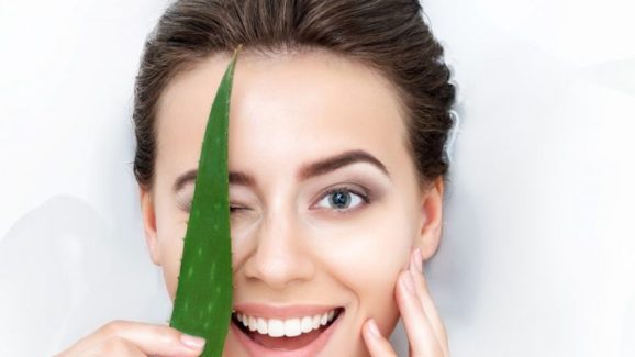 Aloe Vera: చలికాలంలో.. మృదువైన చర్మం కోసం అలోవెరా