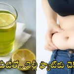 Belly Fat: వీటితో.. బెల్లీ ఫ్యాట్‌కు చెక్