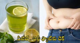 Belly Fat: వీటితో.. బెల్లీ ఫ్యాట్‌కు చెక్