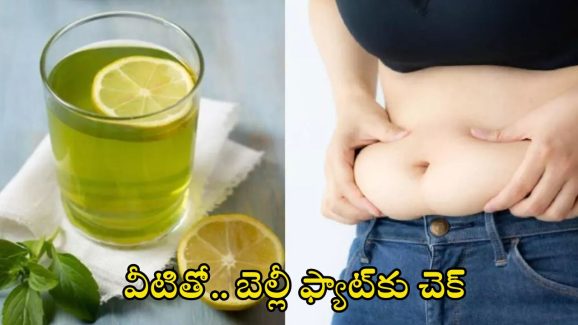 Belly Fat: వీటితో.. బెల్లీ ఫ్యాట్‌కు చెక్