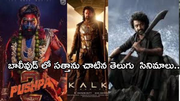 Tollywood Movies: ఈ ఏడాది బాలీవుడ్ ను షేక్ చేసిన తెలుగు సినిమాలు ఇవే..