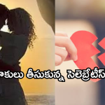 Tollywood Couples : లవ్ & అరేంజ్ మ్యారేజ్ చేసుకొని విడిపోయిన స్టార్స్ వీరే..
