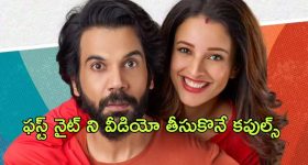 OTT Movie : భార్యాభర్తల ప్రైవేట్ వీడియోలు లీక్.... యూత్ మెచ్చే త్రిప్తి దిమ్రి మూవీ