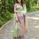 Trisha Krishan: చీరకే అందం తీసుకురావడం అంటే ఇదేనేమో.. దేవతలా ఉందే