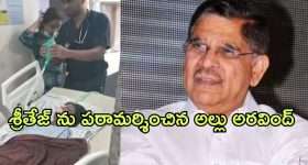 Allu Arjun - Thumps up: థండర్ కోసం వైల్డ్ ఫైర్ రెమ్యూనరేషన్ ఎంతంటే..?