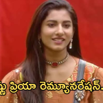 Bigg Boss 8 Telugu : బిగ్ బాస్ 8 లో విష్ణు ప్రియా ఎంత సంపాదించిందో తెలుసా..?