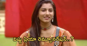 Bigg Boss 8 Telugu : బిగ్ బాస్ 8 లో విష్ణు ప్రియా ఎంత సంపాదించిందో తెలుసా..?