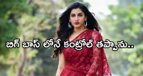 Vishnu Priya : బిగ్ బాస్ హౌస్ లో కంట్రోల్ తప్పాను.. అప్పుడే అంతా పోయింది..