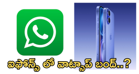 Pushpa 2 Advance Booking : రిలీజ్ కు ముందే మొదలైన రికార్డుల జాతర... 30 కోట్లు దాటిన అడ్వాన్స్ బుకింగ్స్