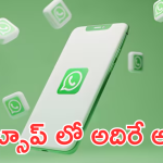 Whatsapp : ఇకపై ఎంతమంది గ్రూప్ మెంబర్స్ ఆన్లైన్లో ఉన్నారో ఇట్టే తెలుసుకోవచ్చు