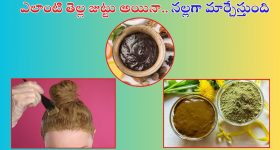 Four Indian dishes: ప్రపంచంలో ఫేమస్ వంటకాలు.. బటర్ చికెన్, ఆపై హైదరాబాద్ బిర్యానీకి స్థానం