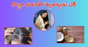Shukra Gochar 2025: శుక్రుడి సంచారం.. ఈ రాశుల వారికి జనవరి 28 నుంచి డబ్బే డబ్బు