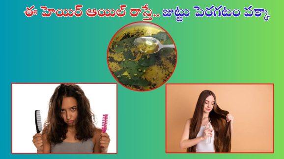 Hair Growth Tips: జుట్టు పెరగట్లేదని ఫీలవుతున్నారా.. ఈ హెయిర్ ఆయిల్ రాస్తే జుట్టు పెరగటాన్ని ఎవరూ ఆపలేరు