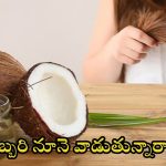 Coconut Oil: చలికాలంలో జుట్టుకు కొబ్బరి నూనె అప్లై చేస్తున్నారా ?