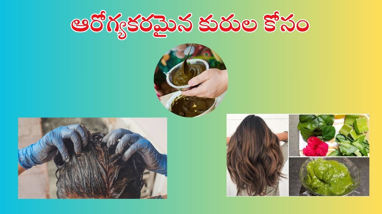 Henna For Hair: హెన్నాలో వీటిని కలిపి హెయిర్ మాస్క్ ట్రై చేశారంటే.. జుట్టు నల్లగా, పొడుగ్గా పెరుగుతుంది తెలుసా..