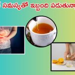 Gastric Problem: గ్యాస్ట్రిక్ సమస్యతో ఇబ్బంది పడుతున్నారా ? అయితే ఈ హోం రెమెడీస్ ట్రై చేయండి