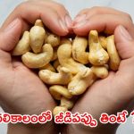 Cashew Benefits: చలికాలంలో జీడిపప్పు తింటున్నారా ?