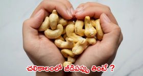 Viskha Dairy: అడారి కొత్త దారి.. బీజేపీలో చేరింది అందుకేనా, ఇప్పుడు టీడీపీ ప్లాన్ ఏంటో!