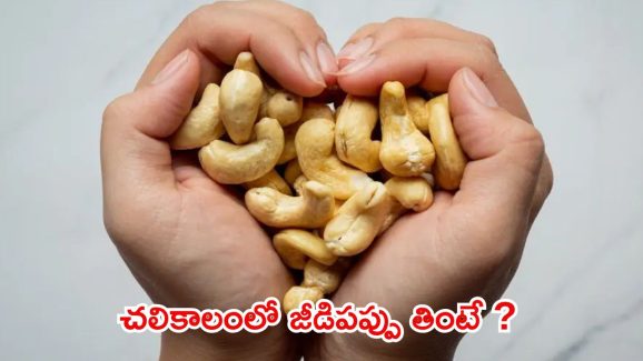 Cashew Benefits: చలికాలంలో జీడిపప్పు తింటున్నారా ?