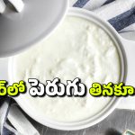 Winter and Curd: చలికాలంలో పెరుగు తినకూడదా? తింటే ఏమవుతుంది?
