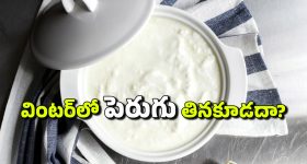 RBI New Governor: ఆర్బీఐ నూతన గవర్నర్ గా సంజయ్ మల్హోత్రా, ఆదేశాలు జారీ చేసిన కేంద్ర ప్రభుత్వం