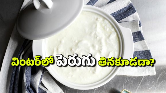 Winter and Curd: చలికాలంలో పెరుగు తినకూడదా? తింటే ఏమవుతుంది?