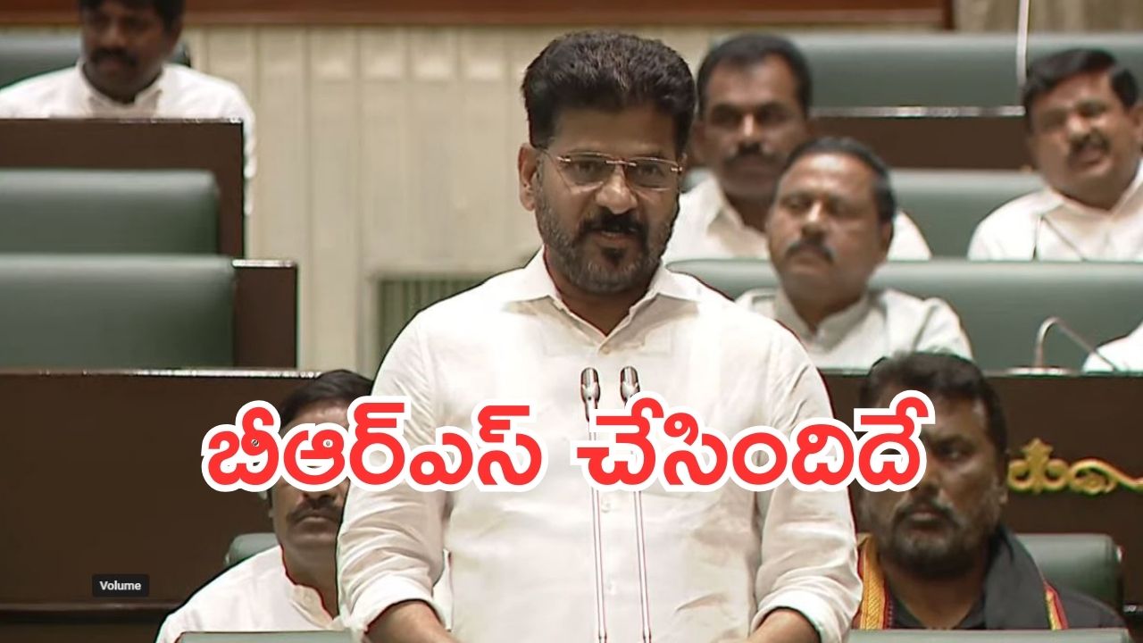 CM Revanth Reddy: దొంగ పాస్ పుస్తకాలు, రియల్ ఎస్టేట్ వ్యాపారులకు రూ.22 వేల కోట్లు చెల్లించారు: సీఎం రేవంత్