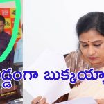 Minister Anitha: హోం మంత్రి అనితకు షాక్, పీఏ ఔట్.. కార్యకర్తల సంబరాలు